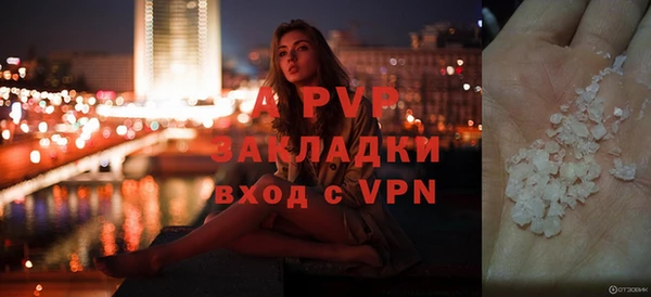 шишки Богородск