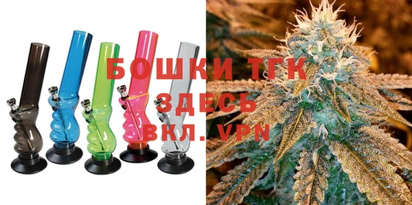 шишки Богородск