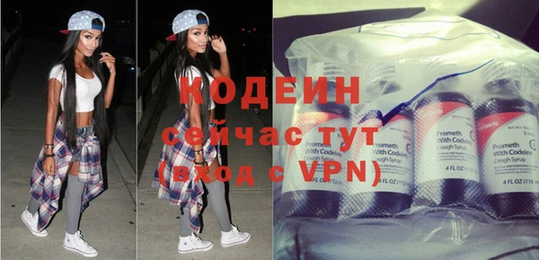 шишки Богородск