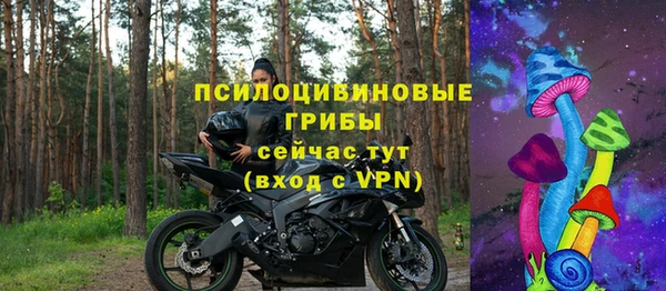 шишки Богородск