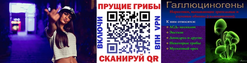 купить наркоту  Пионерский  Псилоцибиновые грибы Psilocybine cubensis 