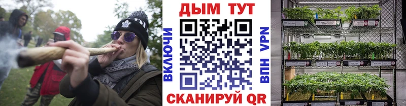 Бошки Шишки ГИДРОПОН дарнет шоп Пионерский